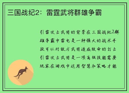 三国战纪2：雷霆武将群雄争霸